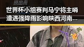 世界杯小组赛判马宁将主哨遭遇强降雨影响陕西河南等地高温考验